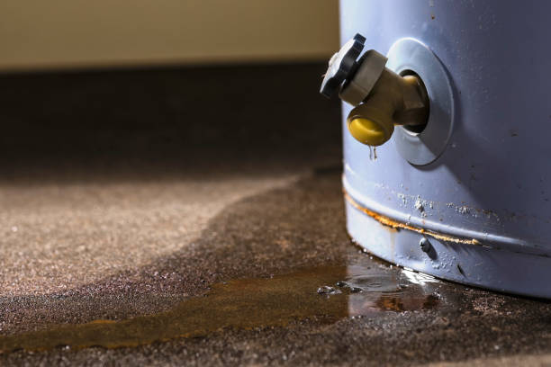 Best Water damage restoration specialists  in Lomita, CA