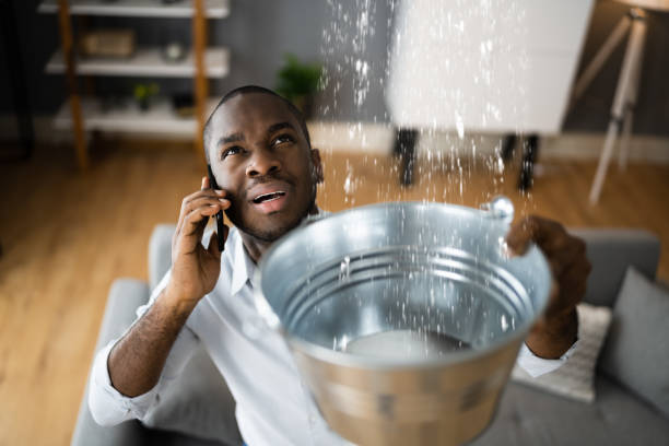 Best Water damage cleanup near me  in Lomita, CA