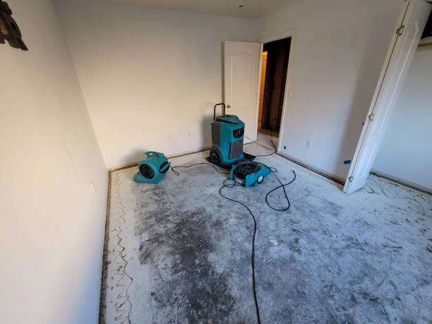 Best Water damage restoration mold remediation  in Lomita, CA