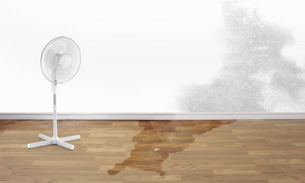 Best Fire Damage Restoration  in Lomita, CA