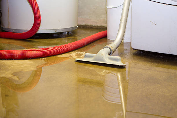 Best Flood restoration services  in Lomita, CA