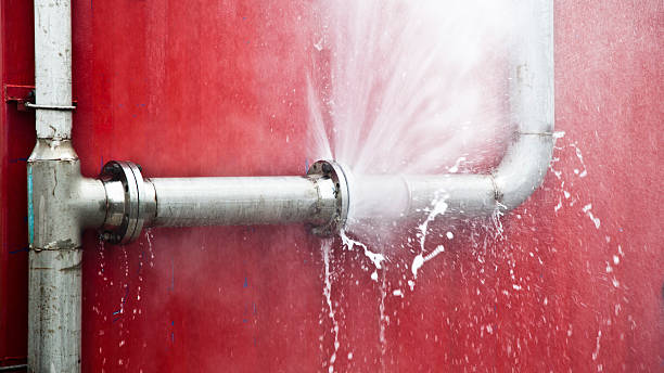 Best Fire Damage Restoration  in Lomita, CA