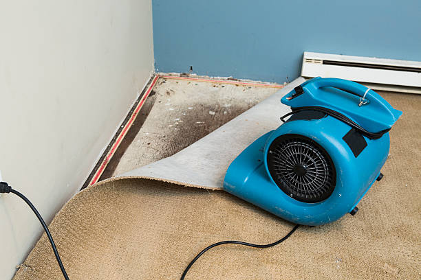 Best Water damage restoration process  in Lomita, CA